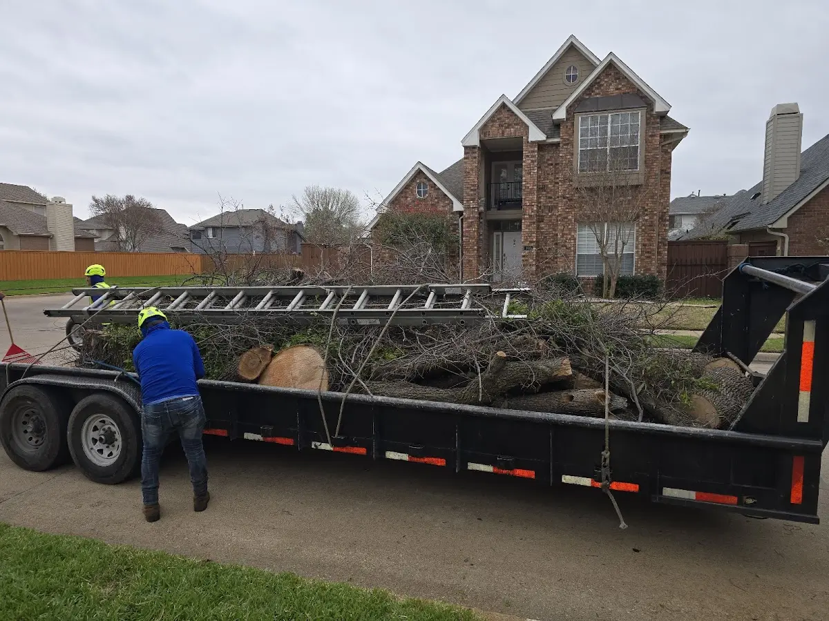 Expert Tree Fertilization with proper safety equipment in Tannersville